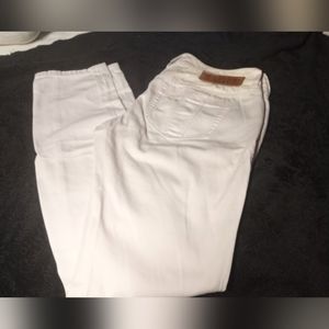 WOMANS BURBERRY BRITT PANTS